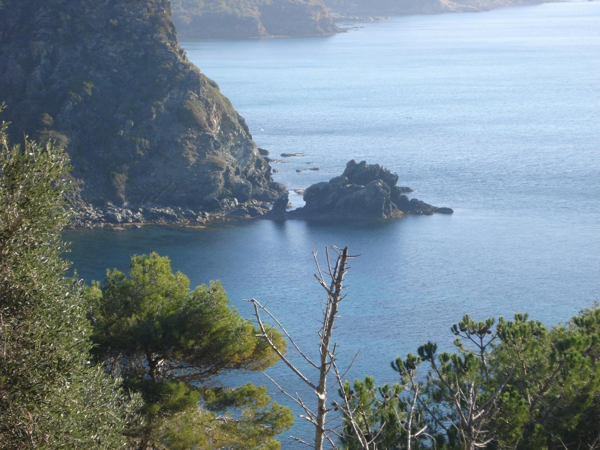 Villasoledad Appartamenti Per Vacanze Capoliveri (Isola d'Elba) Exterior foto